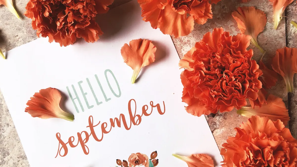 9月の誕生花と贈り物に込める想い ― 花が伝える心のメッセージ