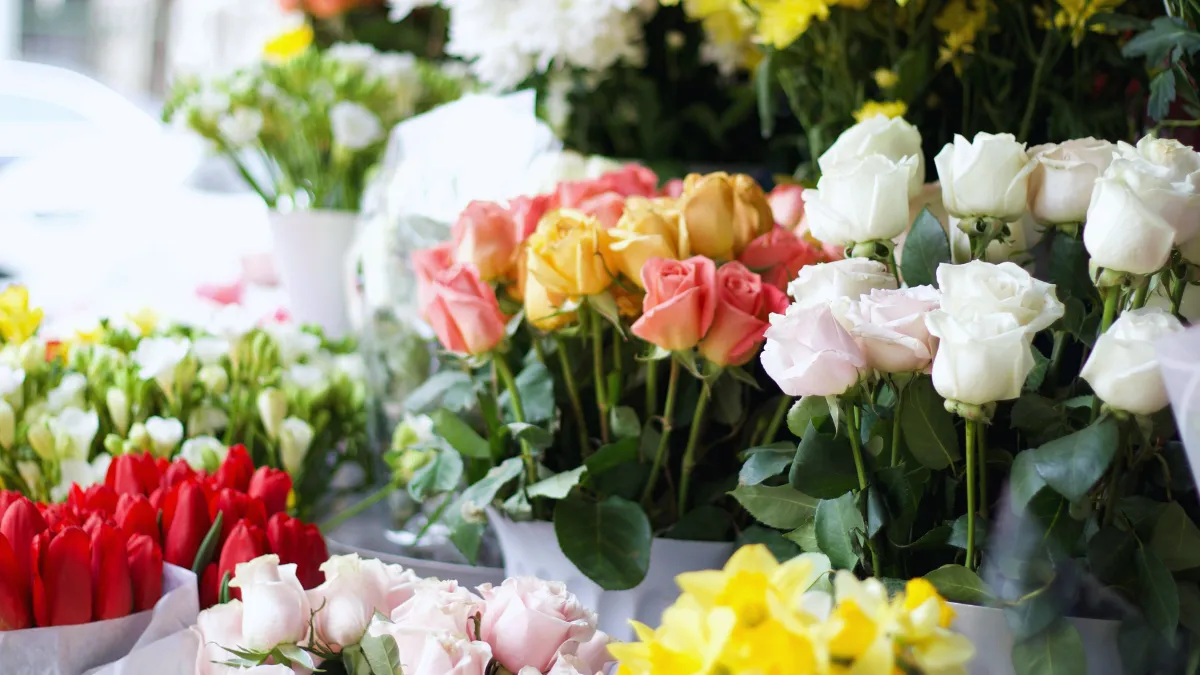【相手別・関係性別】喜ばれる花ギフトの選び方。失敗しない「贈り物」のコツ